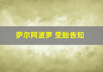 萨尔阿波罗 受胎告知